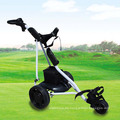 CE genehmigt Falten 3-Rad Elektro Golf-Trolley (DG12150-B)